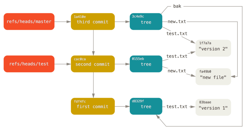 Le répertoire d’objets de Git avec les références de branches incluses.